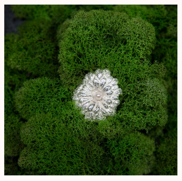 Chrysanthemum by Tova's Design